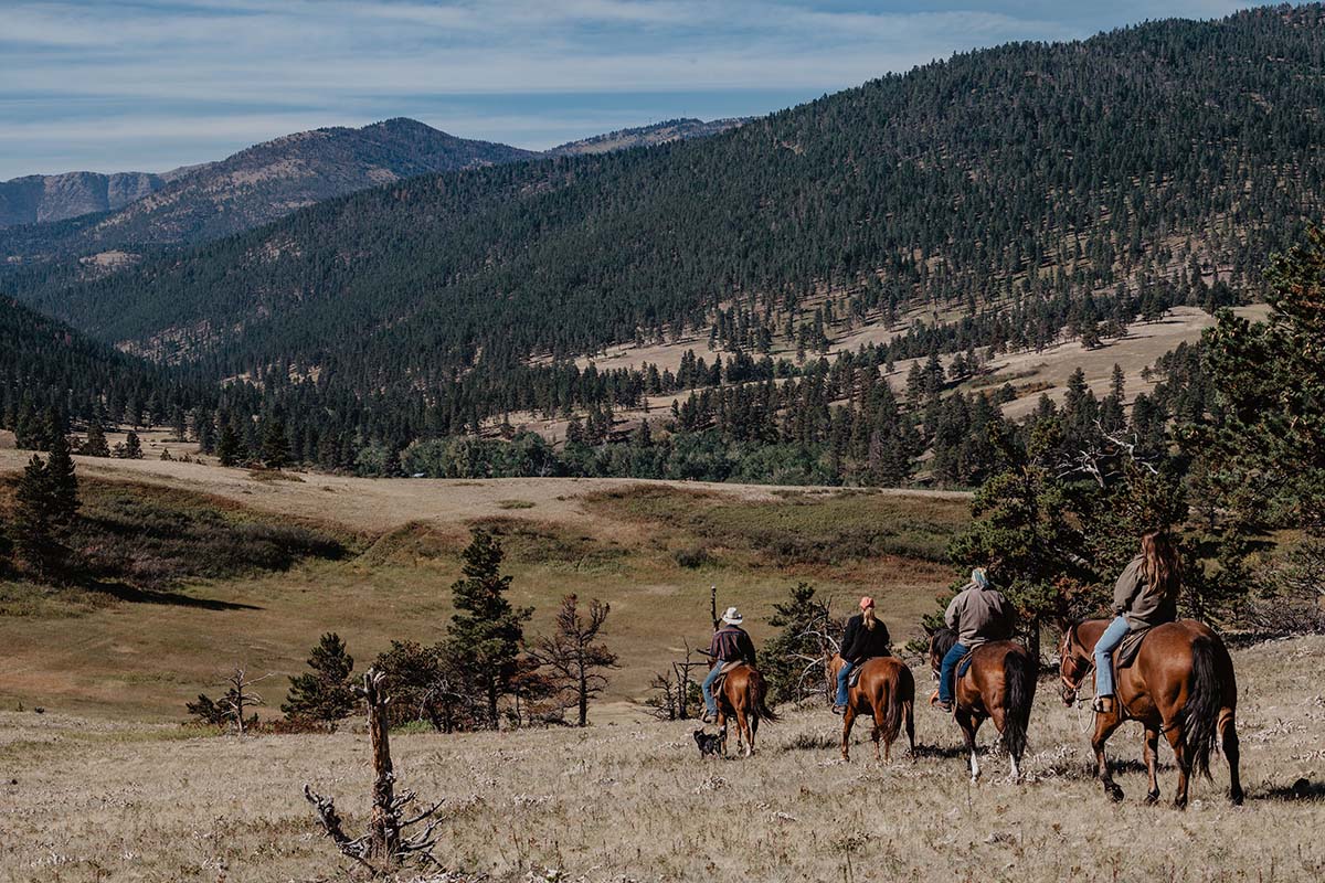 Blacktail Ranch Guests Horseback Scenic Vista
