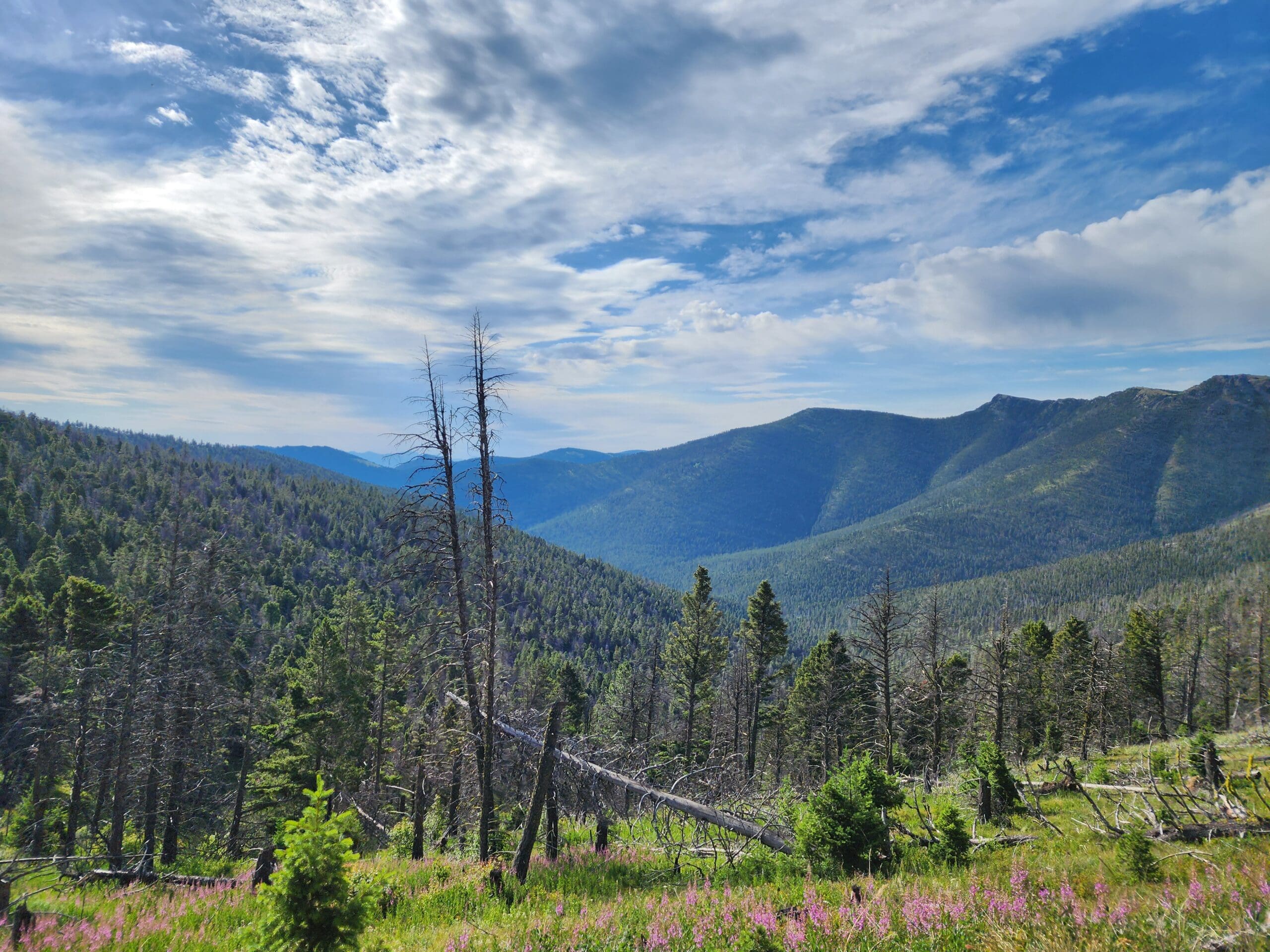 3 Day Divide Ride View