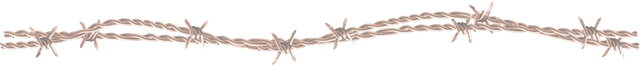 Barbed Wire Divider Brown 50 Flopped