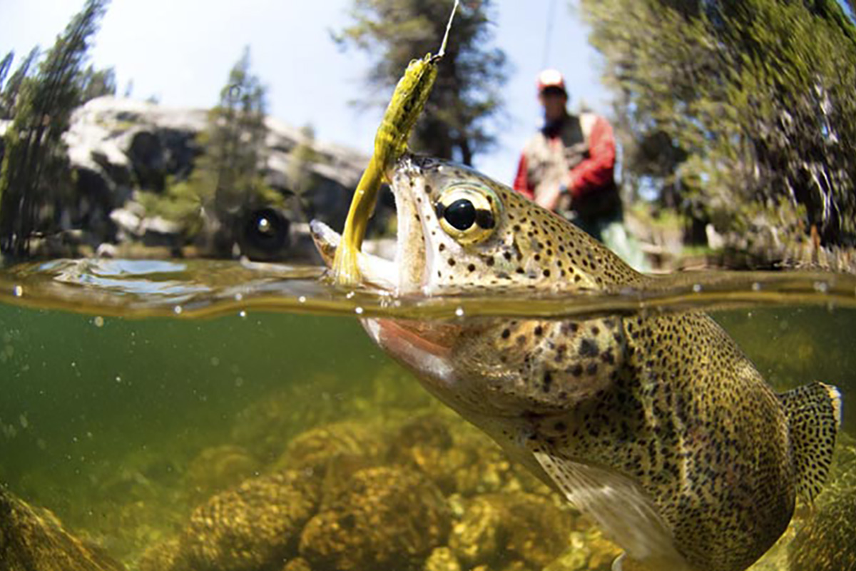 Fishing Blacktail Ranch Flyfishing