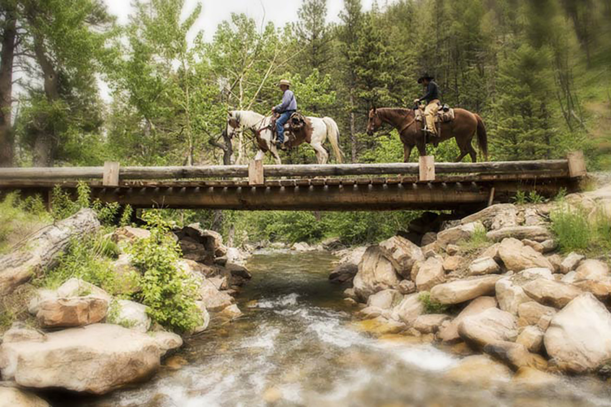 Horseback Riding Bridge