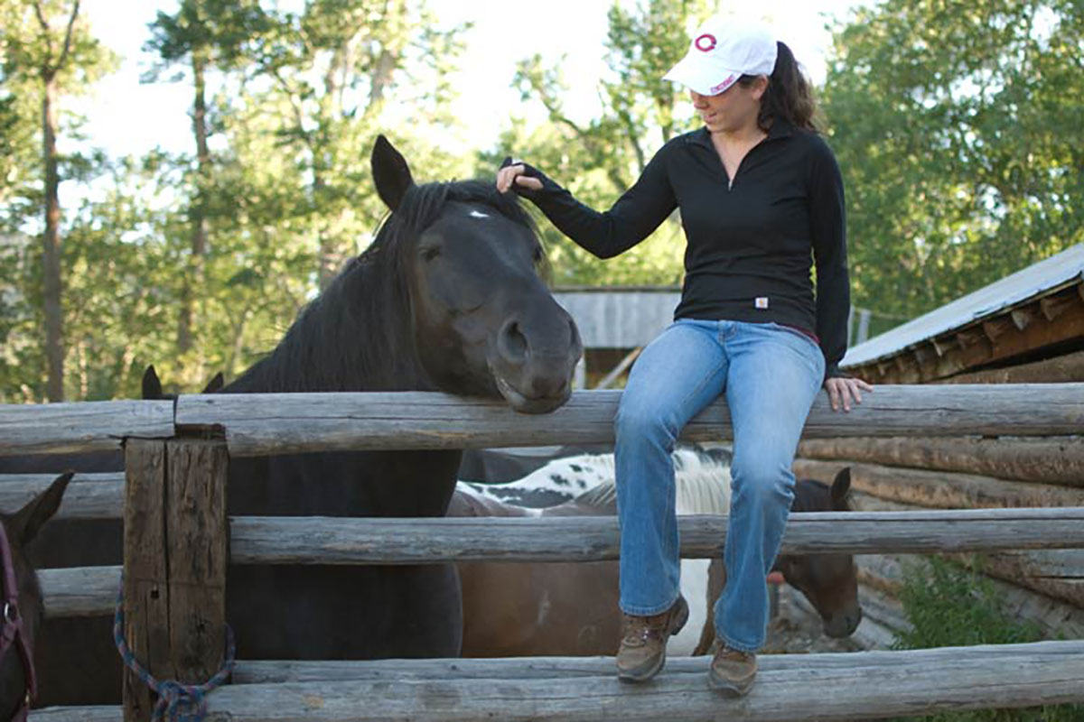 Horseback Riding Horse