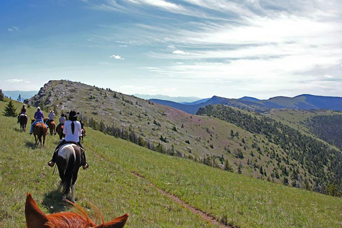 Horseback Riding Trail