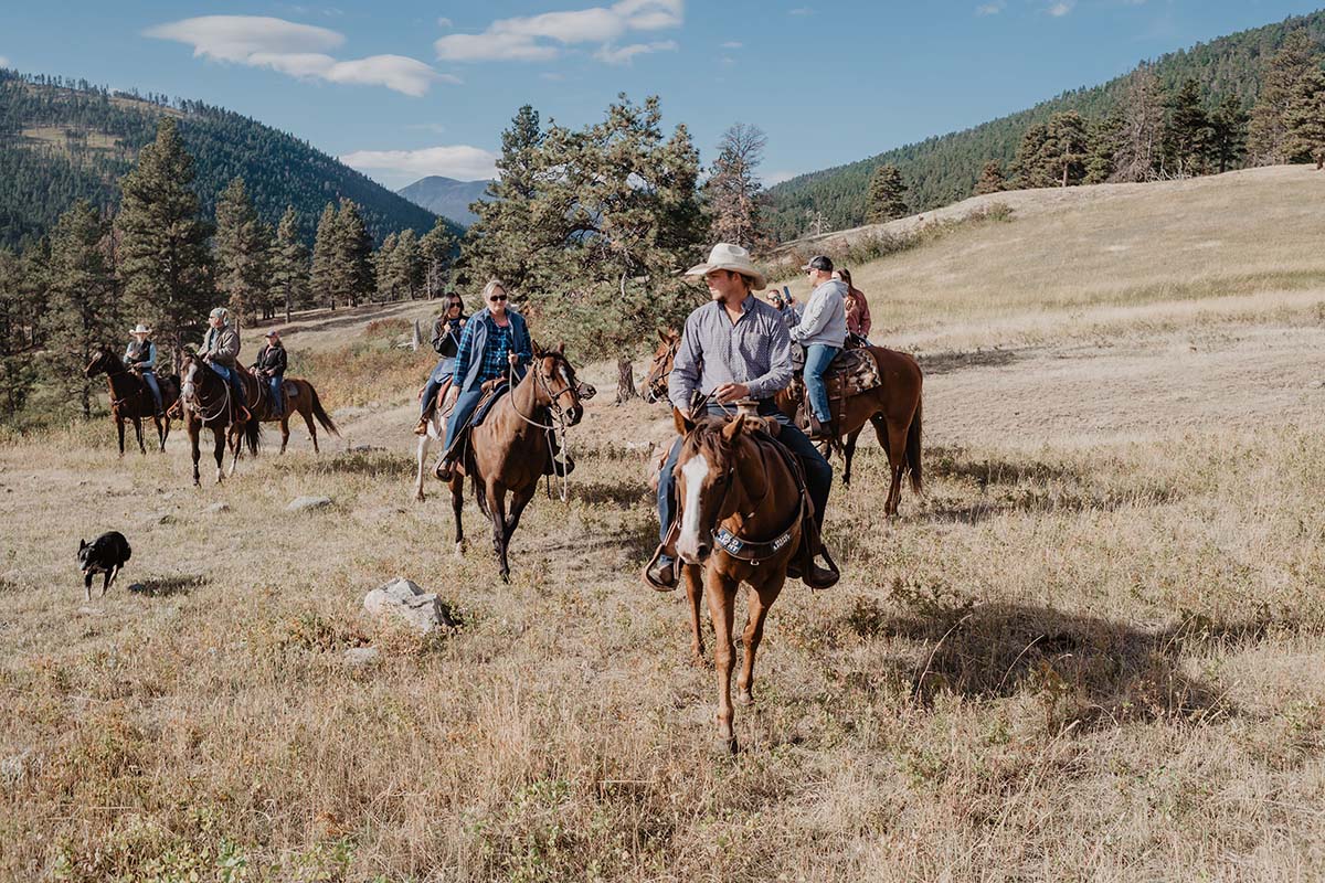 Blacktail Guests Riding