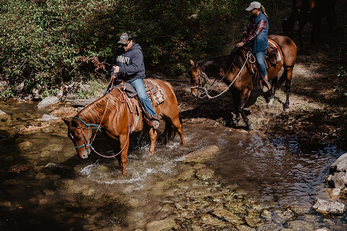 Blacktail Guests on Horseback Fording Stream