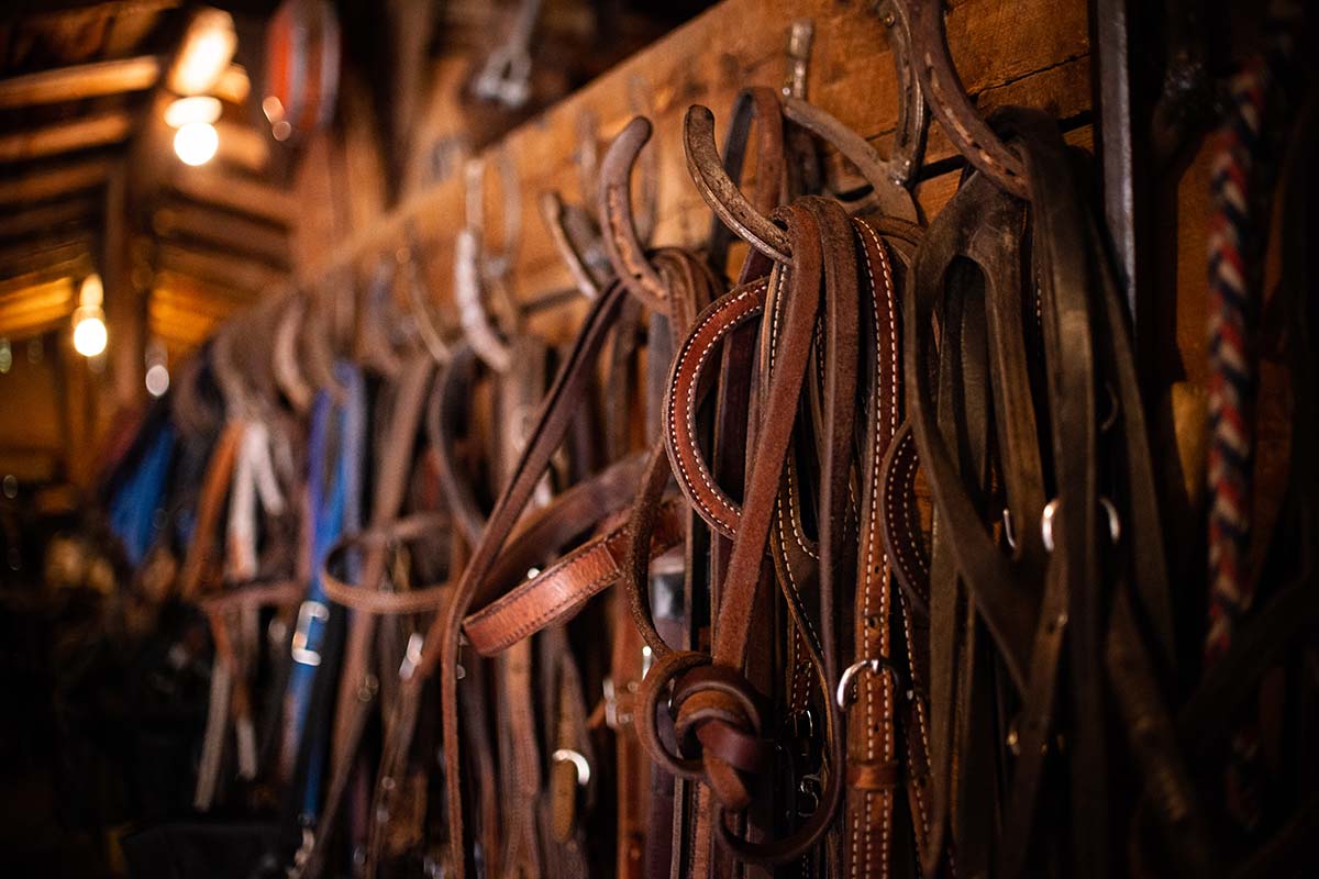 Blacktail Ranch Horse Tack