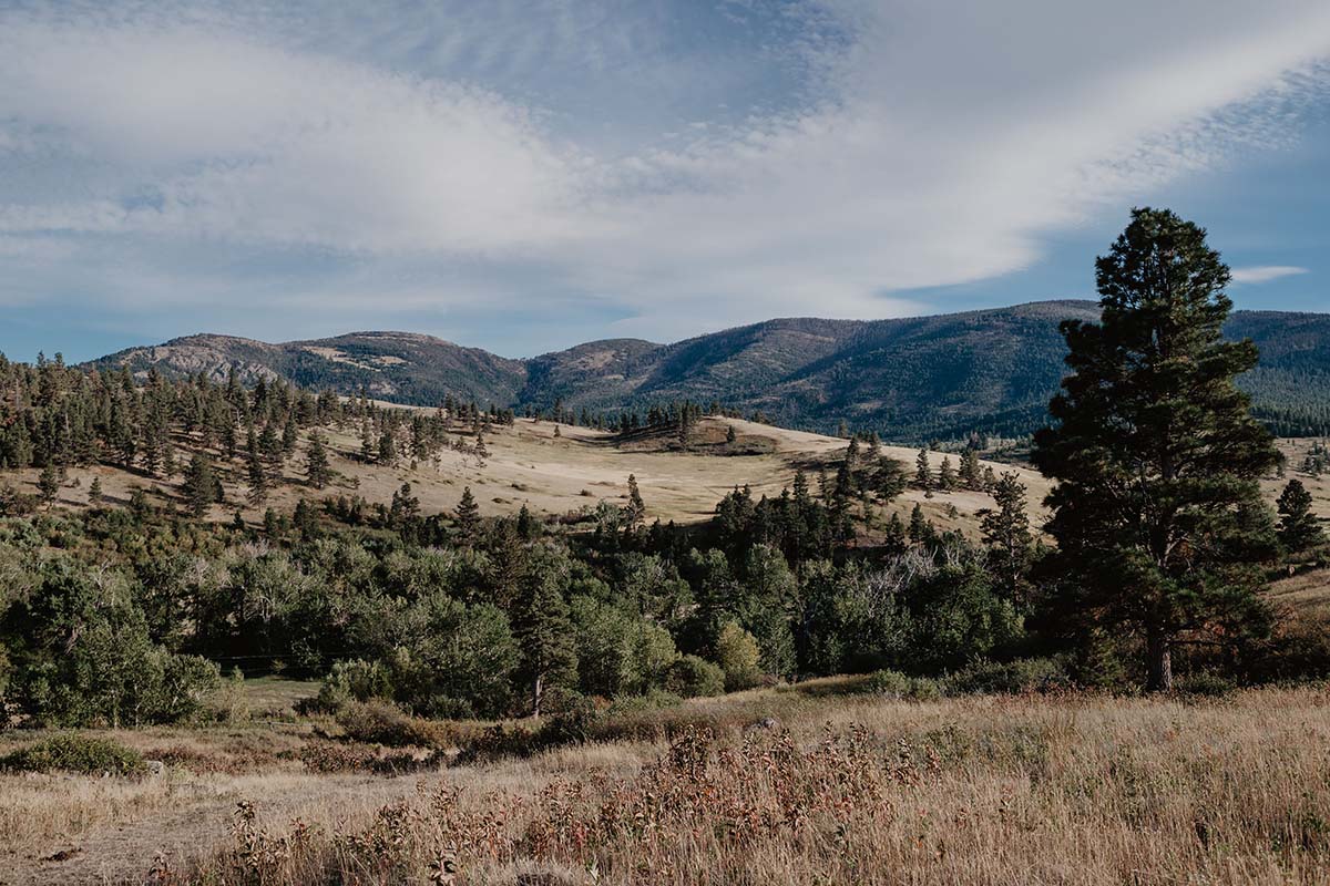 Blacktail Ranch Landscape