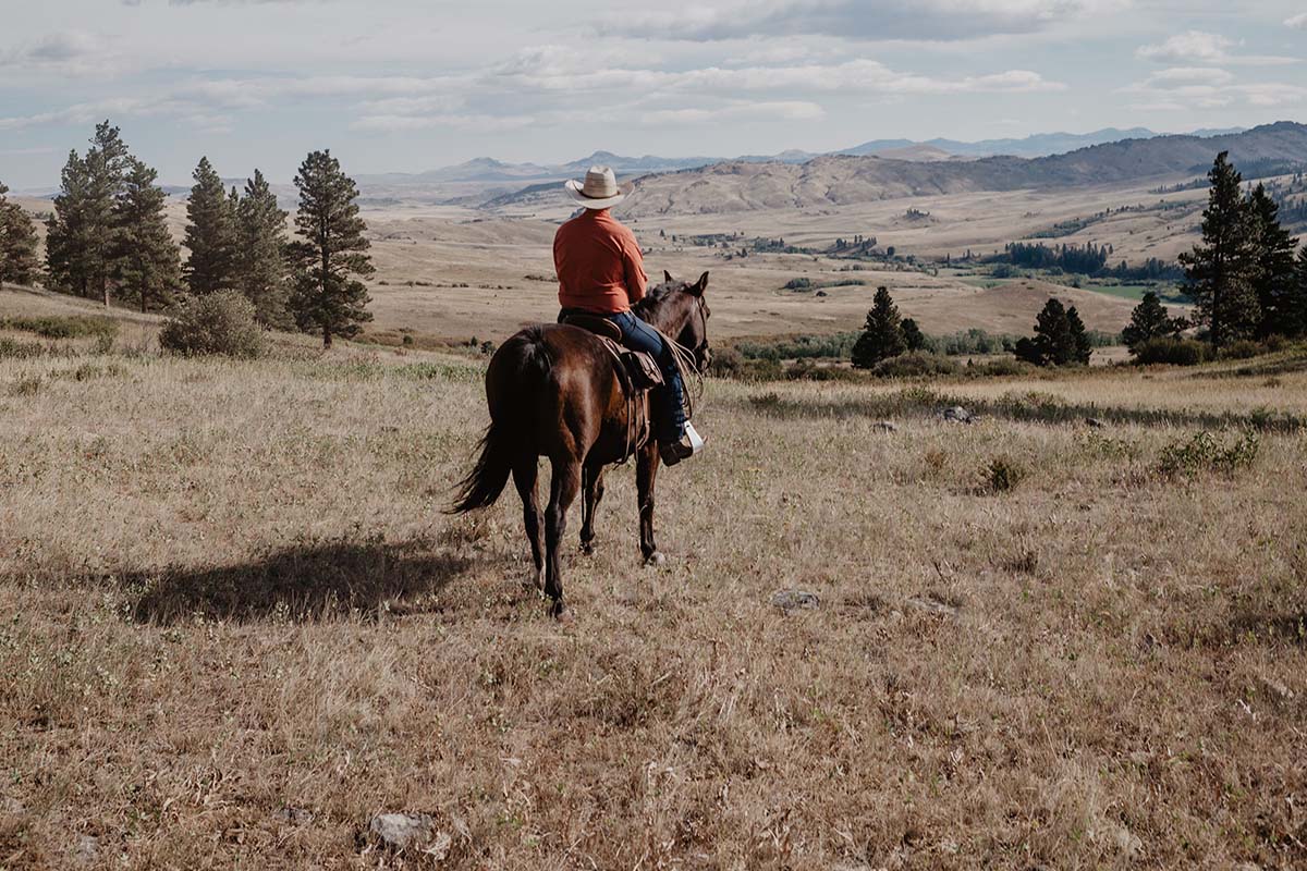 Blacktail Ranch Rider
