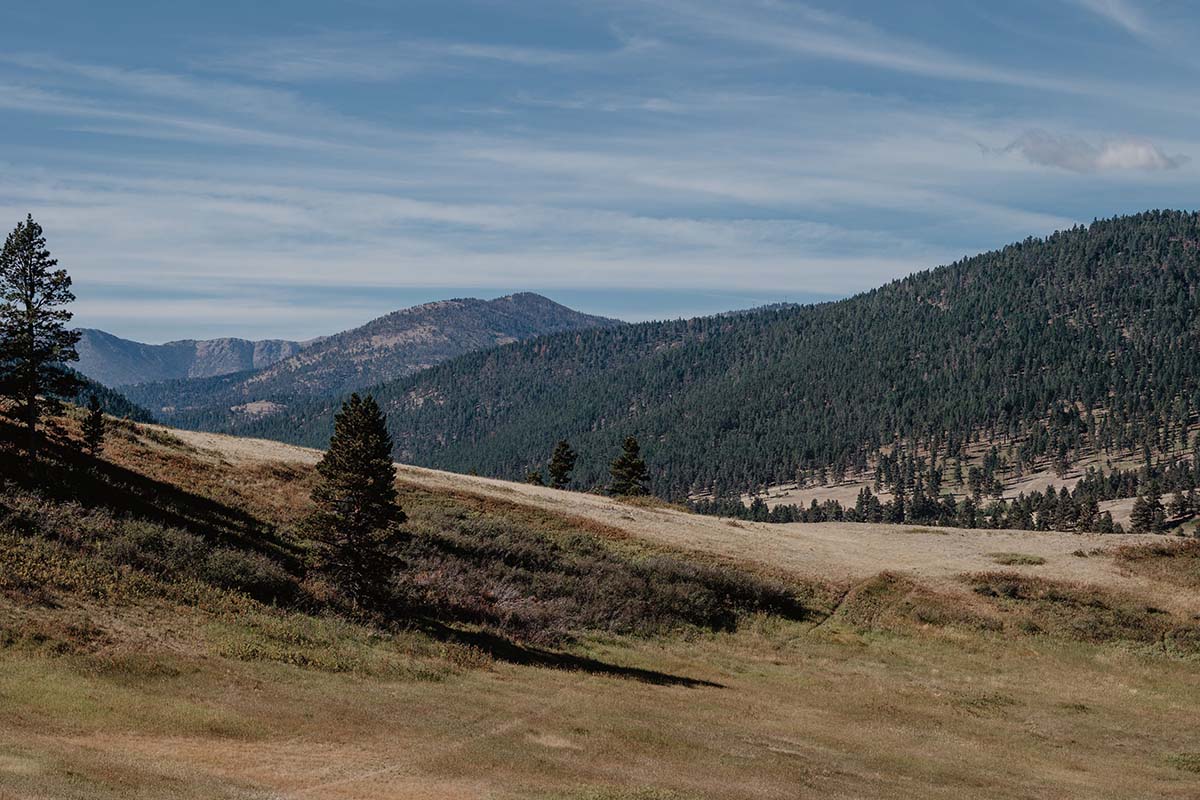 Blacktail Ranch Scenic