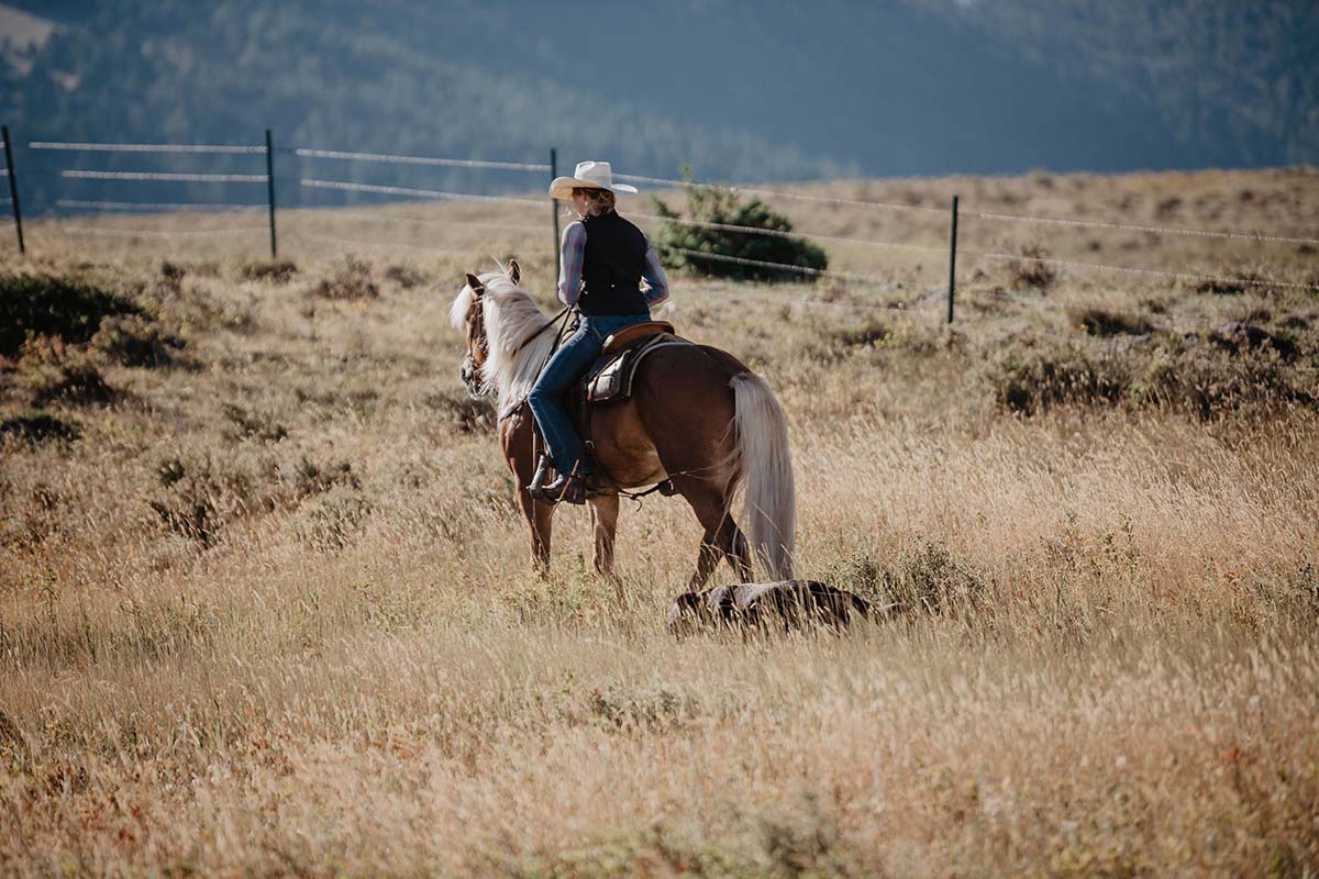 Horseback Riding - Blacktail Ranch