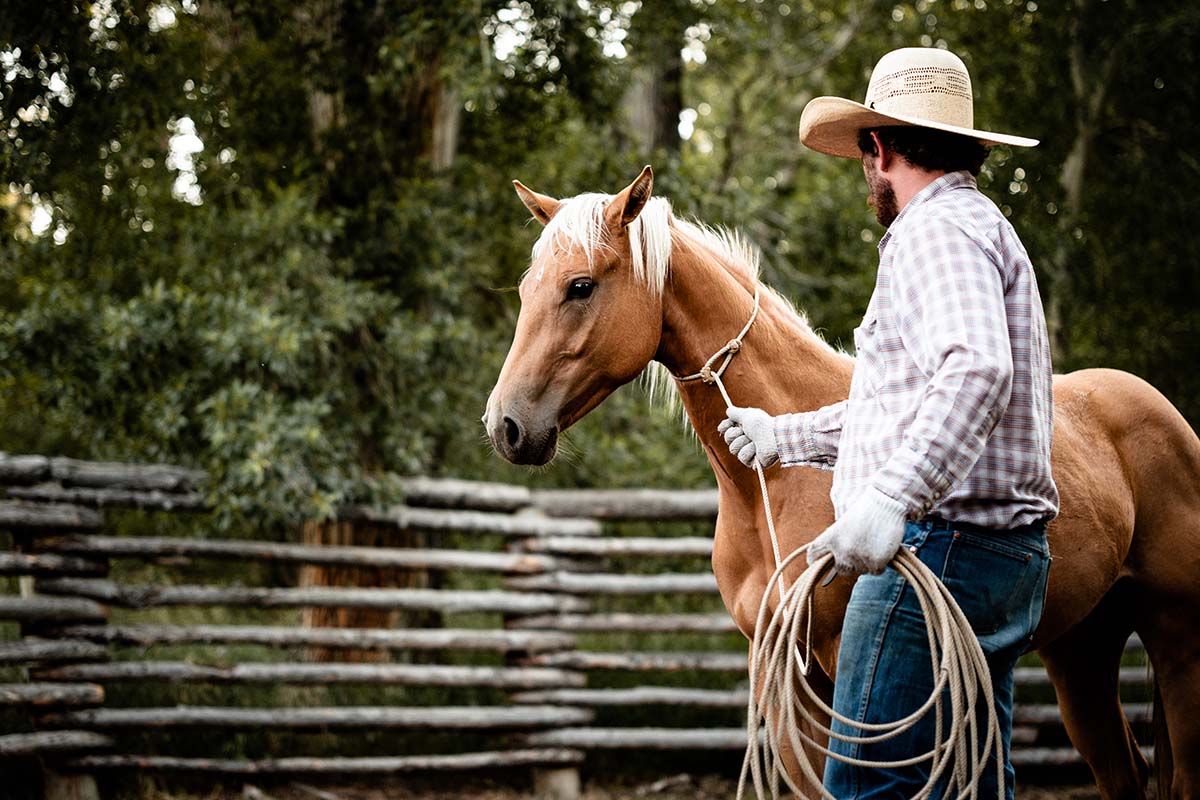 Blacktail Ranch Wrangler and Horse