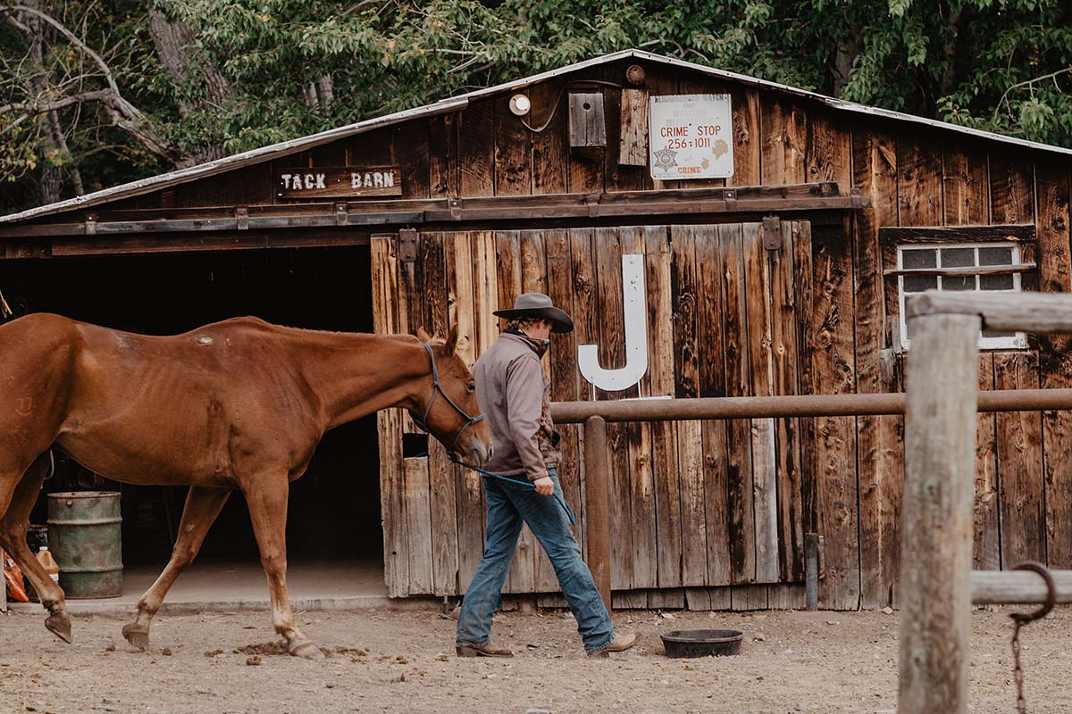 Blacktail Ranch Wrangler