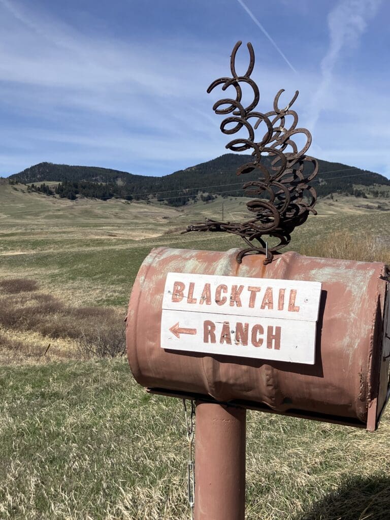 A Blacktail Ranch mailbox